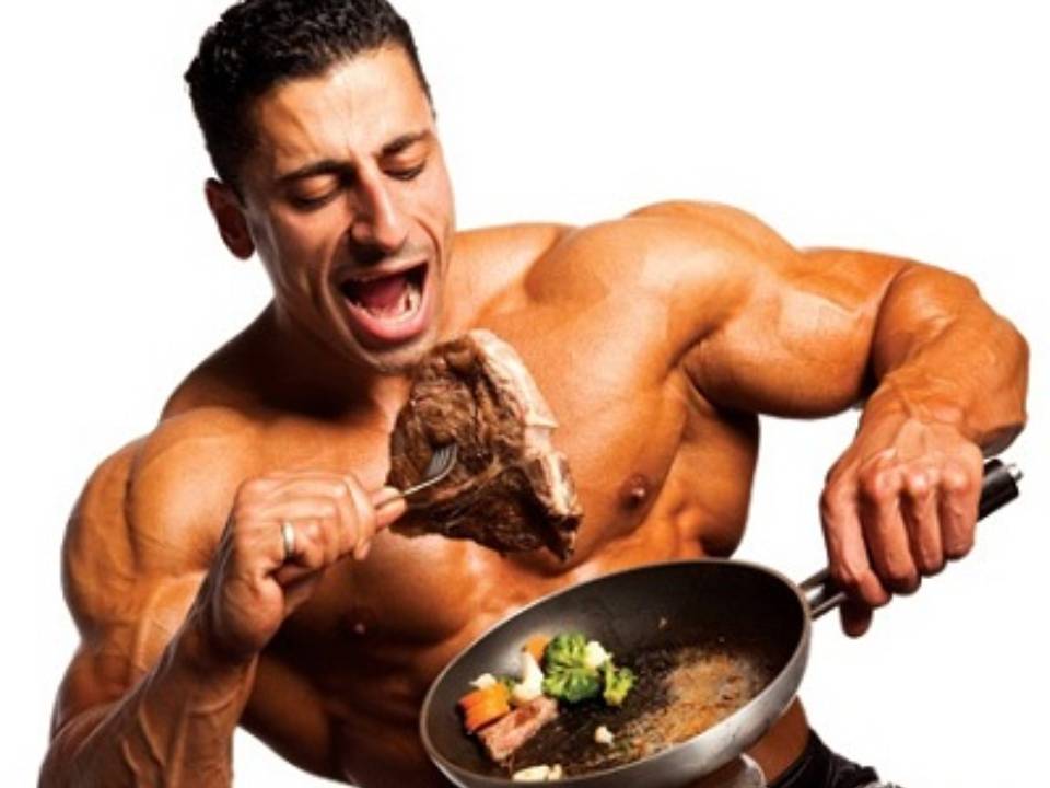 ¿Qué hacen las proteínas en los músculos?